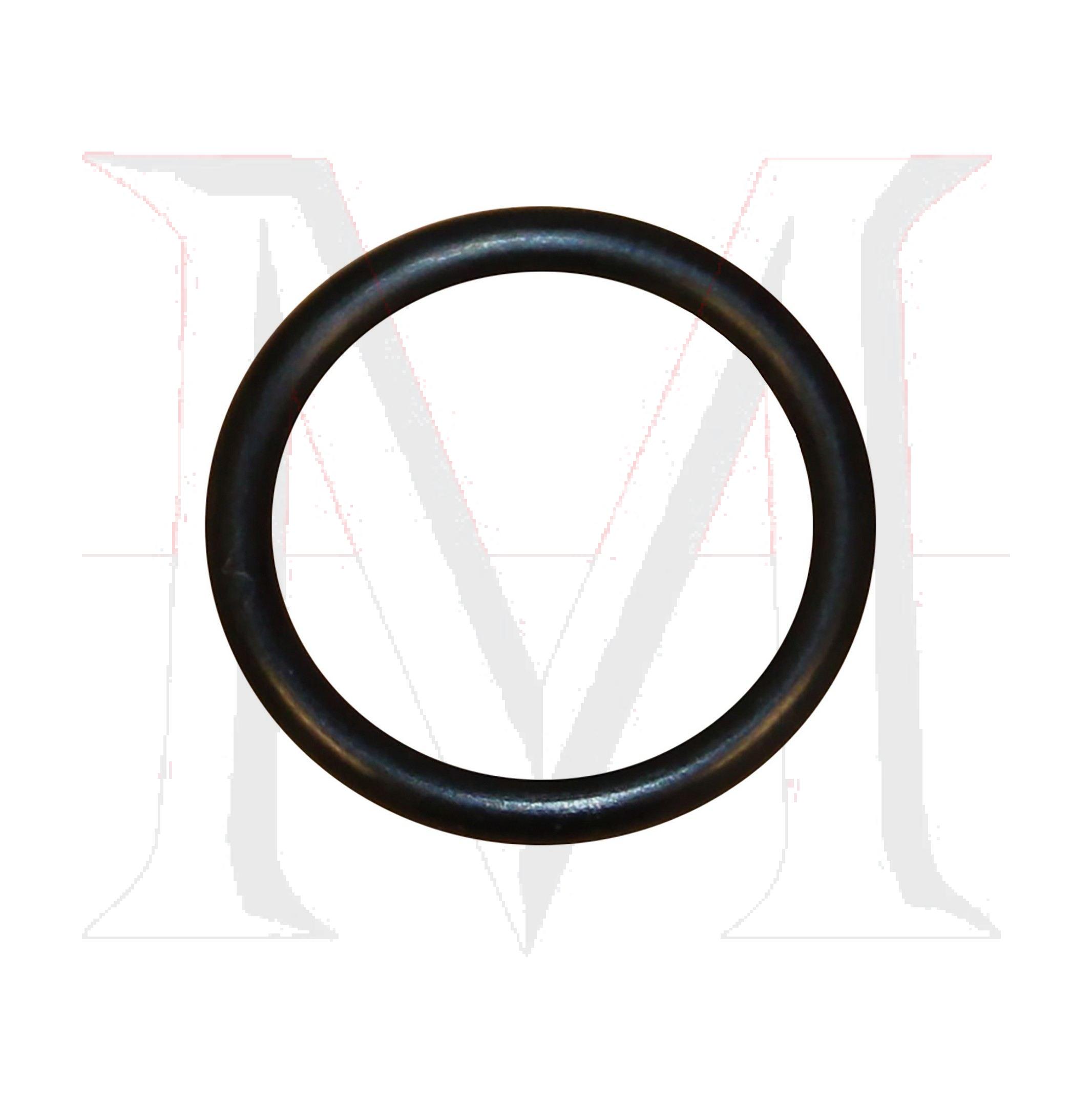TIMING COVER O-RING
