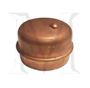 WHEEL CAP W/SPRING