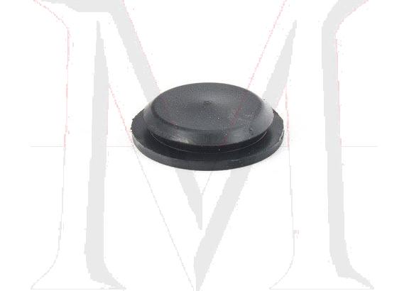 EXPANSION PLUG