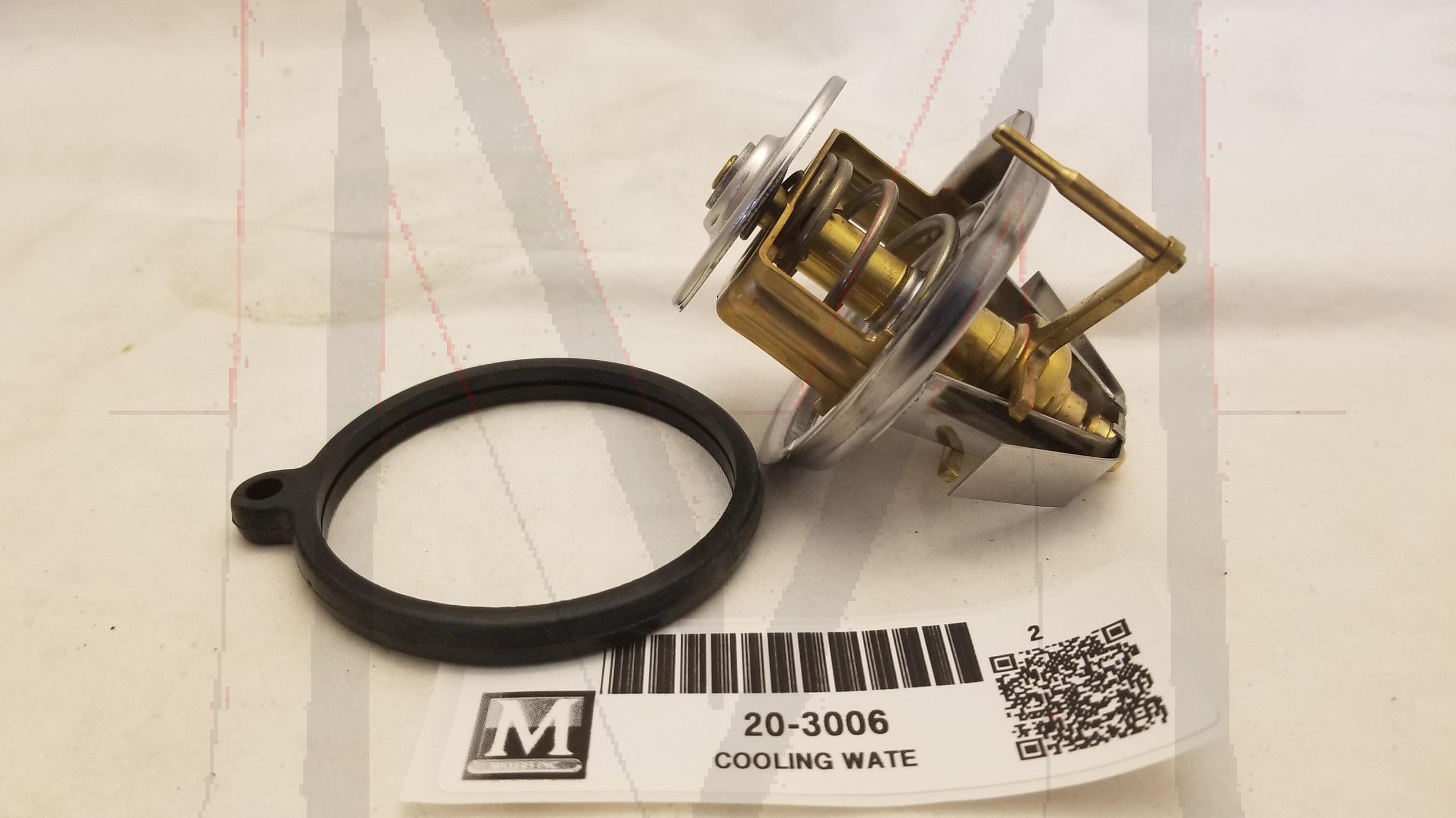 THERMOSTAT W/ SEAL