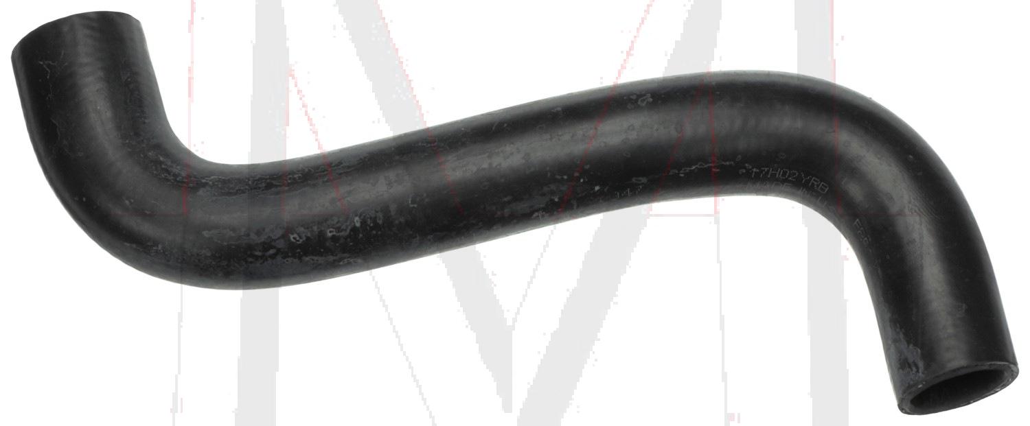 RADIATOR HOSE UPPER