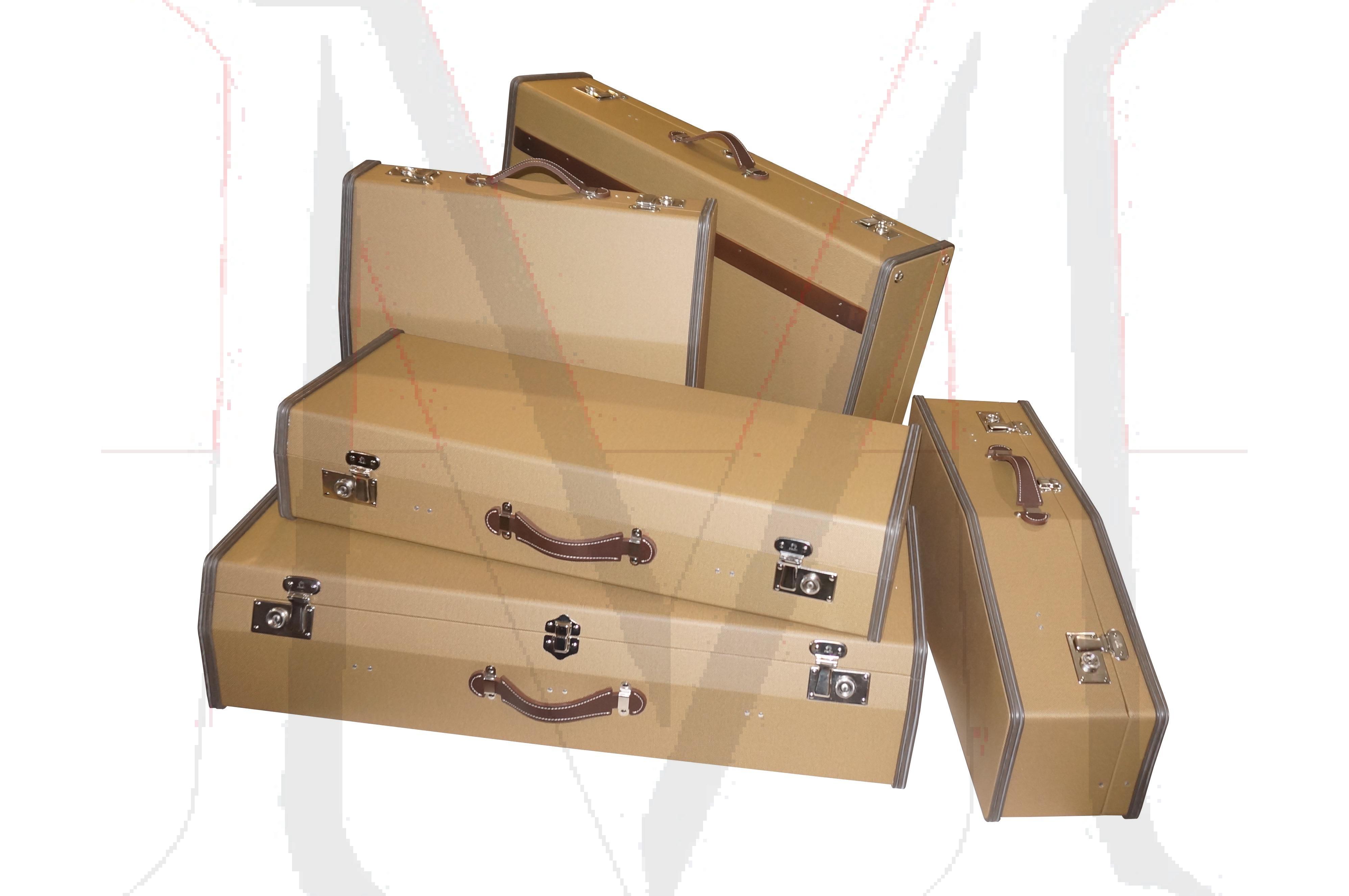 Interior Luggage Cases